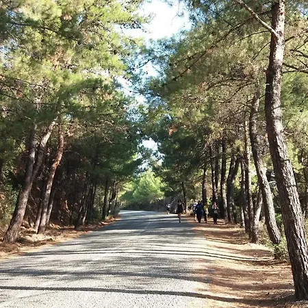 Close To National Park Apartamento