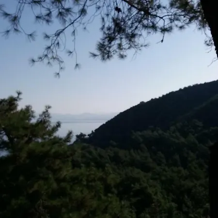 Apartamento Close To National Park